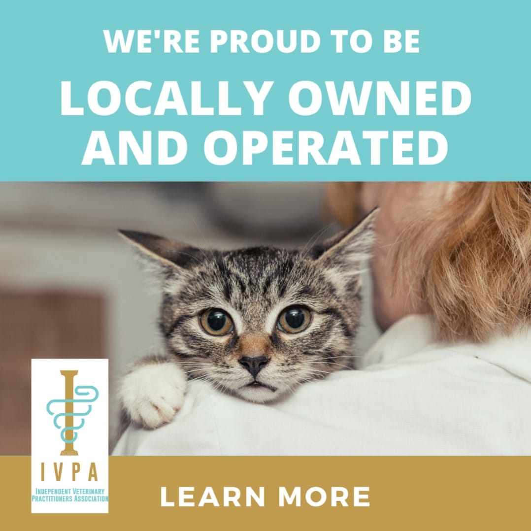 Animal Care Hospital Highlands Ranch | Veterinarian Highlands Ranch CO -  Your Pet is Part of Our Family