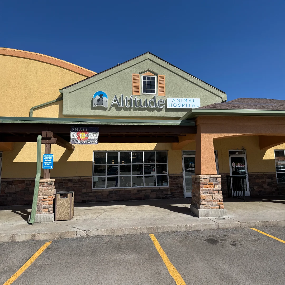 Exterior view of Altitude Animal Hospital with visible signage and a banner that reads “Small Business Strong.”
