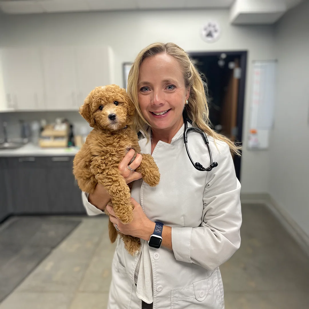 dog with happy vet