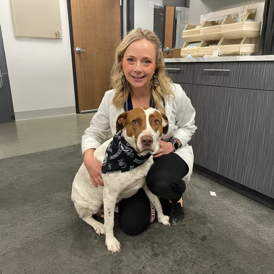 dog with lady vet dog with vet