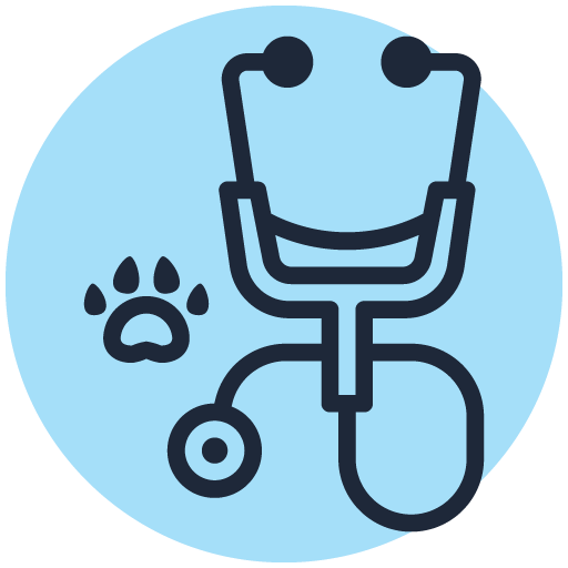 Wellness & Preventive Care Icon