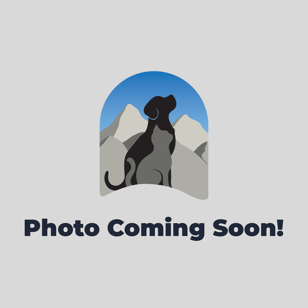 Image Placeholder