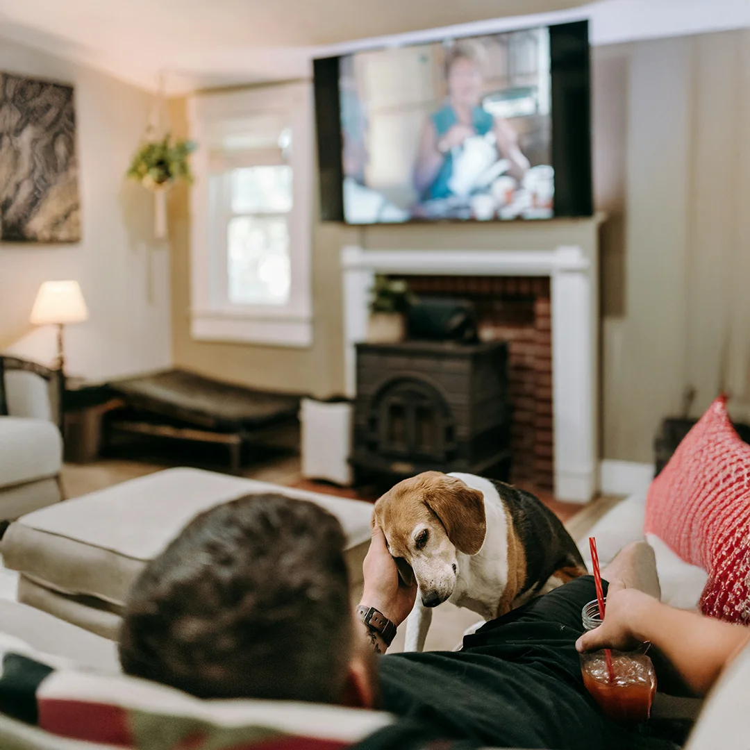 Cozy Afternoon with Beagle and TV Person relaxing on a couch petting a beagle while watching TV in a cozy living room.