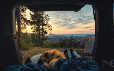 Camping with Your Dog