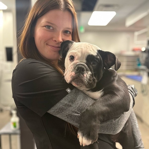 dog with girl dog with girl
