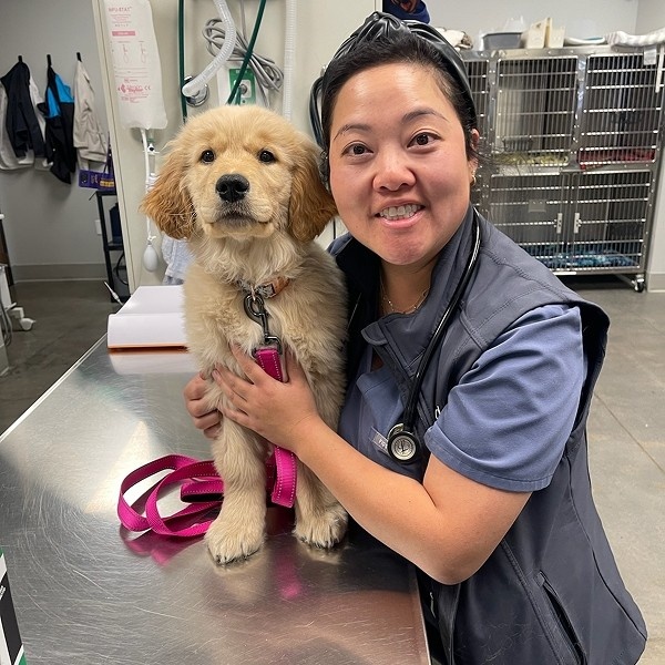 puppy with vet puppy with vet