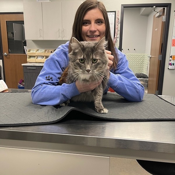 vet sitting with cat vet sitting with cat