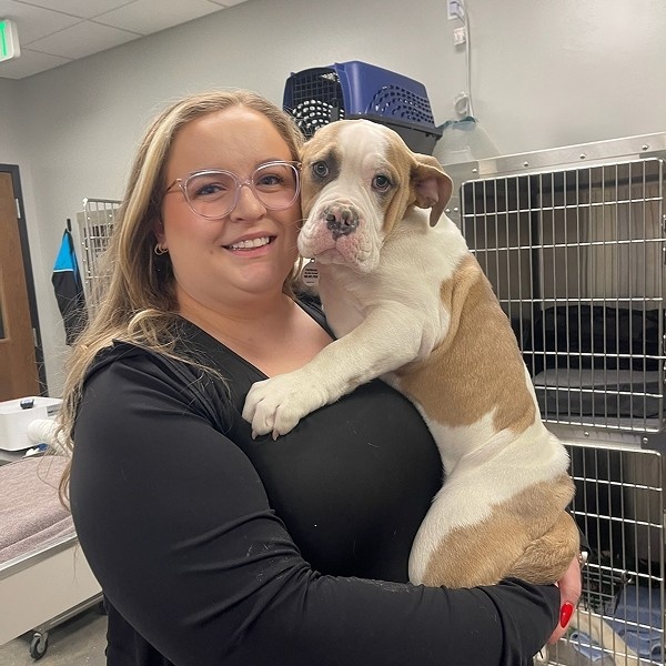 dog with vet dog with vet