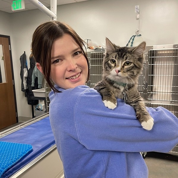 cat with vet cat with vet