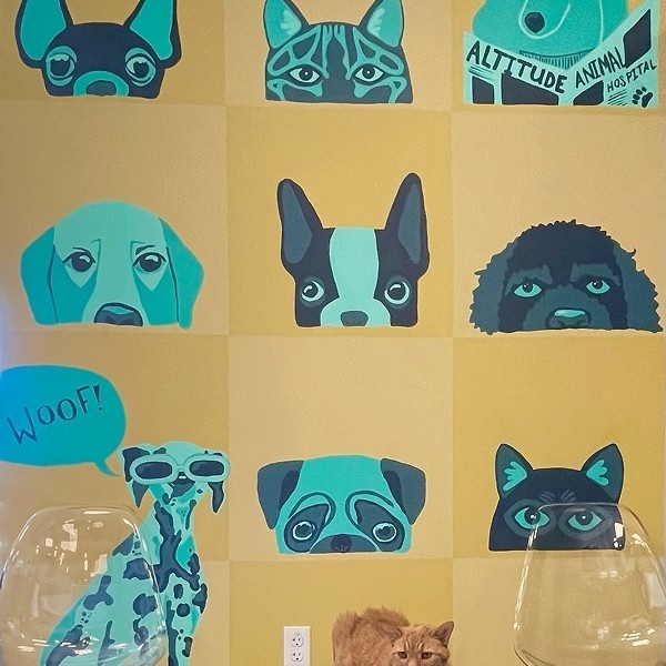 dog posters dog posters