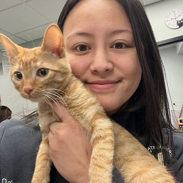 girl holding cat girl holding cat