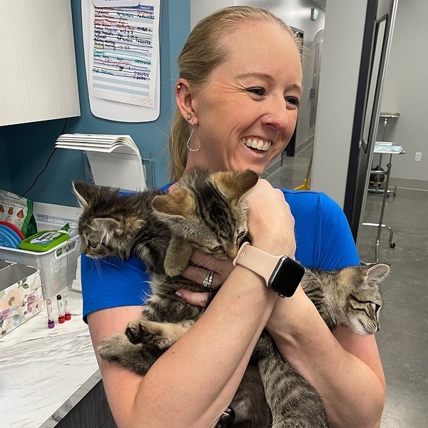 vet holding cat in hand vet holding cat in hand