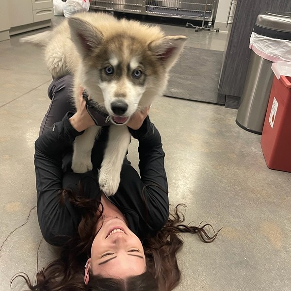 girl playing with puppy girl playing with puppy