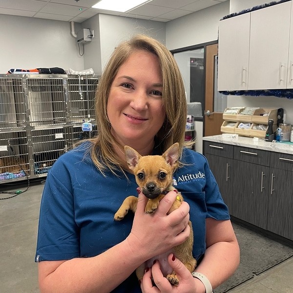vet holding small dog vet holding small dog