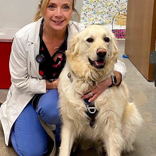 dog with vet dog with vet