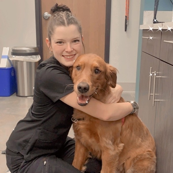 vet hugging dog vet hugging dog