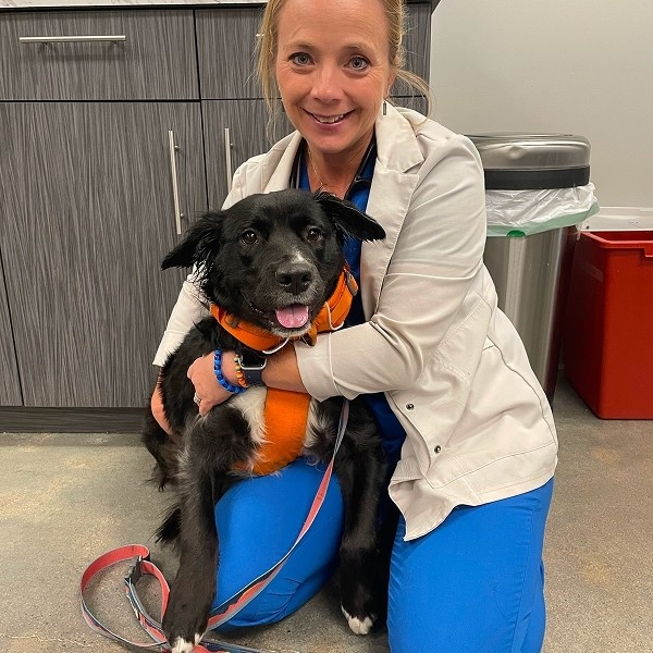 vet hugging dog vet hugging dog