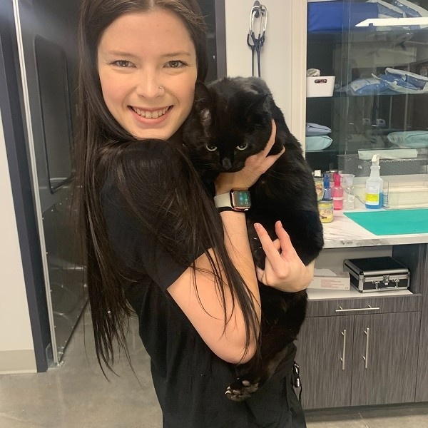 black cat with vet black cat with vet