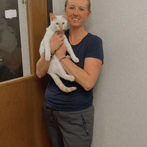 cat with vet cat with vet