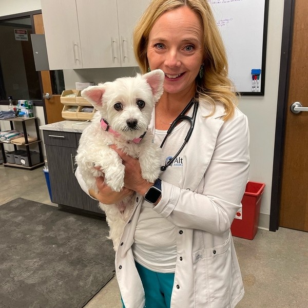 cute puppy with vet cute puppy with vet