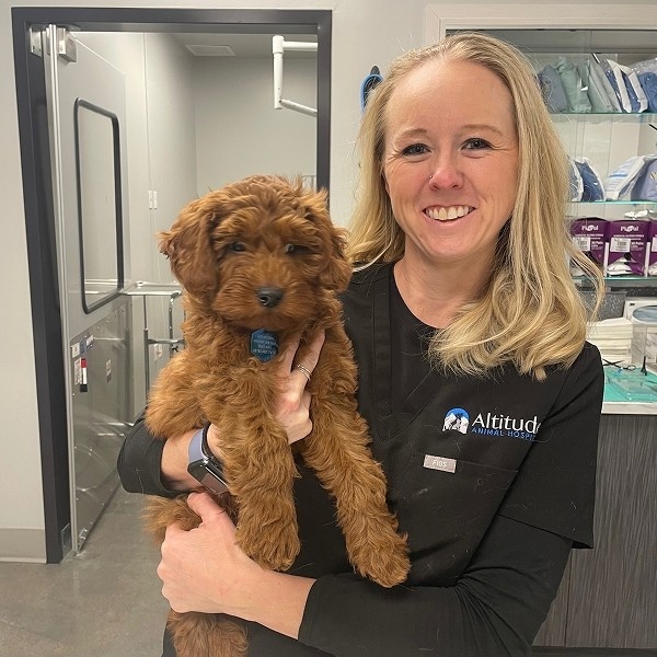 cute puppy with vet cute puppy with vet
